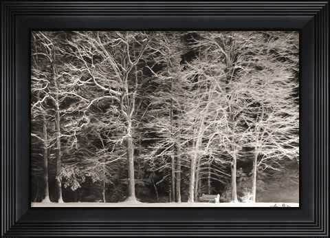 Framed Snowy Trees Print