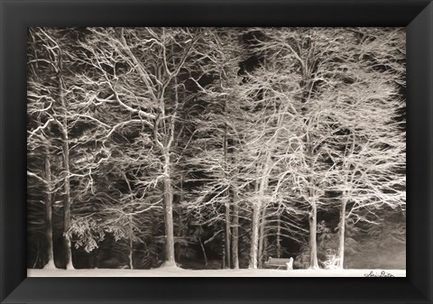 Framed Snowy Trees Print