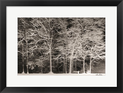 Framed Snowy Trees Print