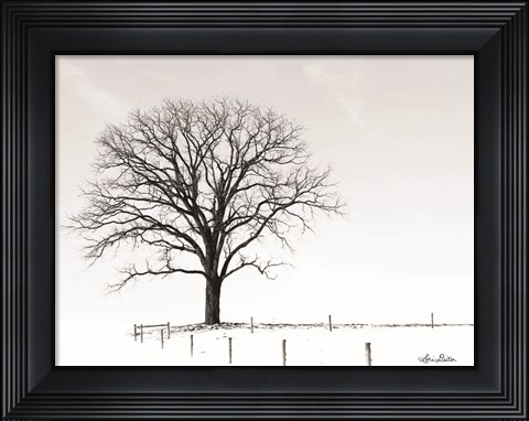Framed Bare Print