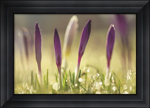 Framed Four in a Row Print