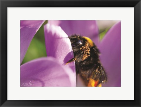 Framed Bee II Print