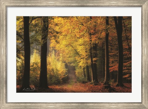 Framed Autumn Mood Print