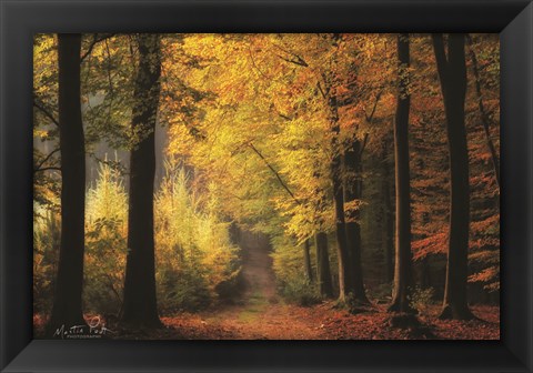 Framed Autumn Mood Print