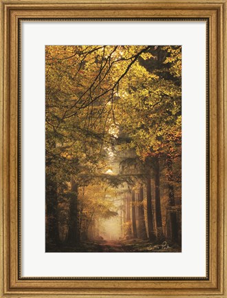 Framed Memories of the Past Print