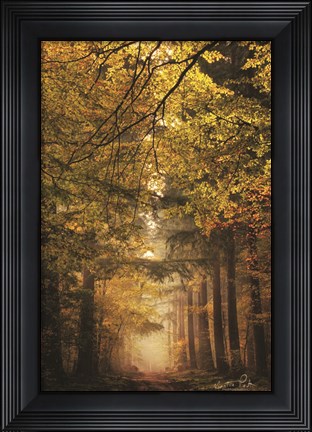 Framed Memories of the Past Print