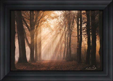 Framed Look for the Light in All Things Print