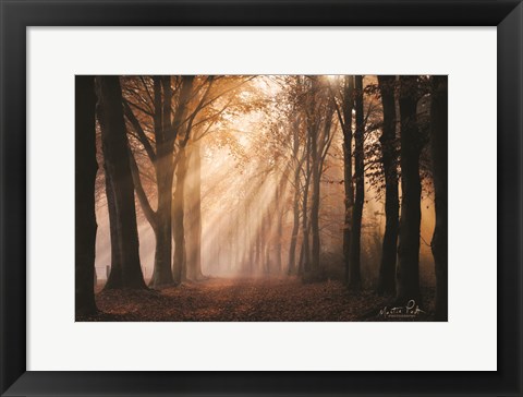 Framed Look for the Light in All Things Print