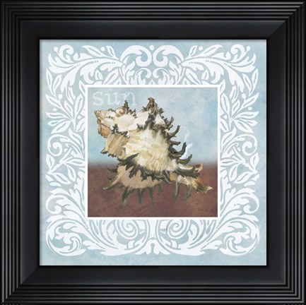 Framed Sandy Shells Blue Spikey Print