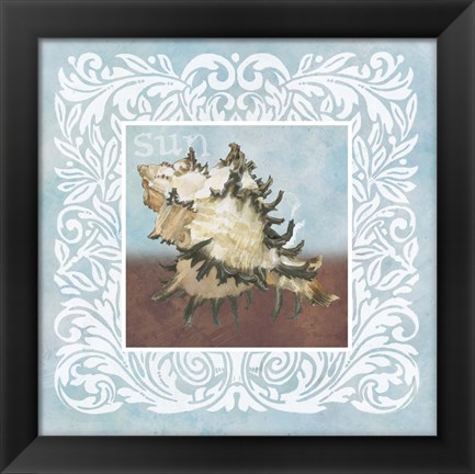 Framed Sandy Shells Blue Spikey Print