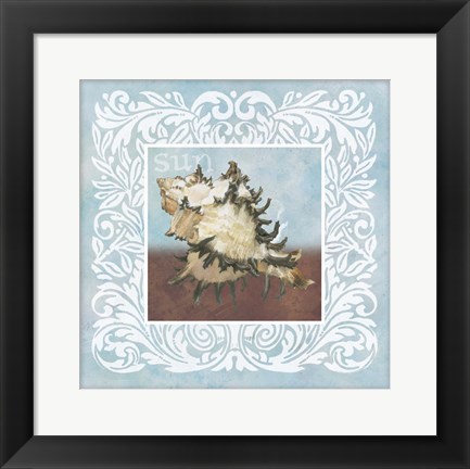 Framed Sandy Shells Blue Spikey Print