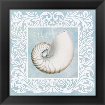 Framed Sandy Shells Blue on Blue Nautilus Print
