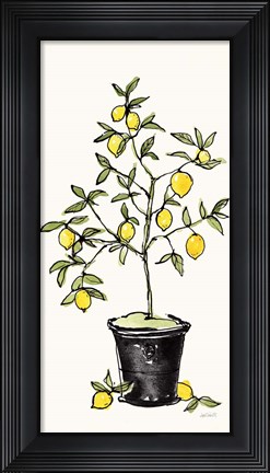 Framed Citron V Print
