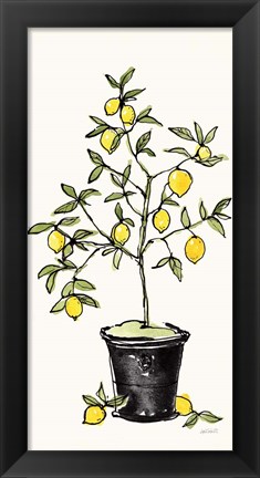 Framed Citron V Print