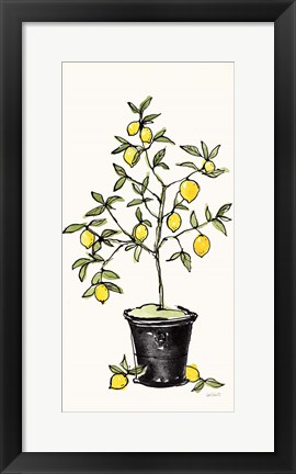 Framed Citron V Print