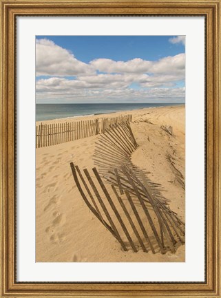 Framed Beach Dunes II Print