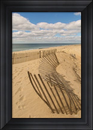Framed Beach Dunes II Print