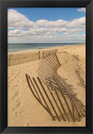 Framed Beach Dunes II Print