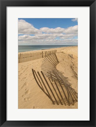 Framed Beach Dunes II Print