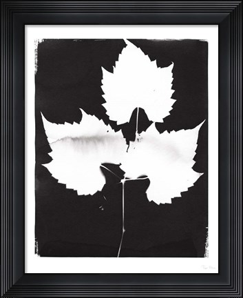 Framed Nature by the Lake Leaves I Black Print