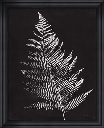 Framed Nature by the Lake Ferns VI Black Crop Print