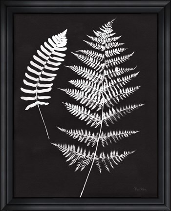 Framed Nature by the Lake Ferns V Black Crop Print