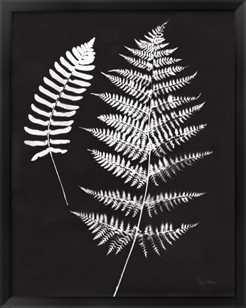 Framed Nature by the Lake Ferns V Black Crop Print