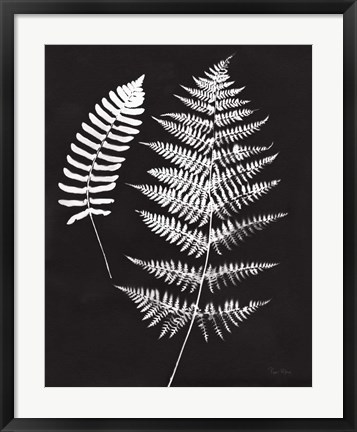 Framed Nature by the Lake Ferns V Black Crop Print