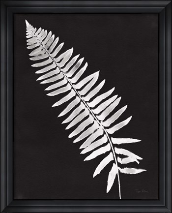Framed Nature by the Lake Ferns IV Black Crop Print