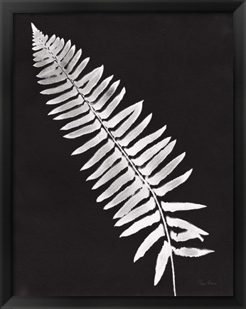 Framed Nature by the Lake Ferns IV Black Crop Print