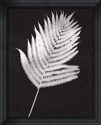 Framed Nature by the Lake Ferns III Black Crop Print