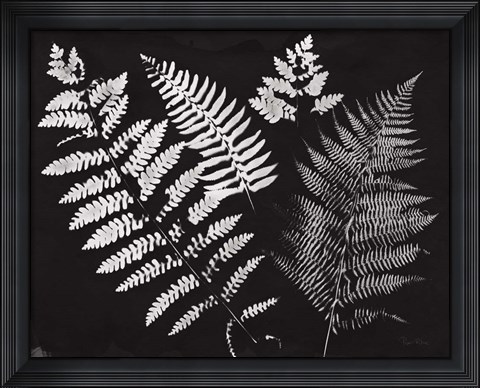 Framed Nature by the Lake Ferns II Black Crop Print