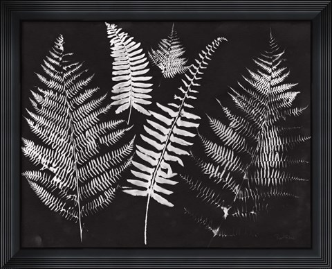 Framed Nature by the Lake Ferns I Black Crop Print