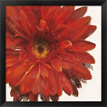 Framed Vivid Daisy Dark Red Crop Print