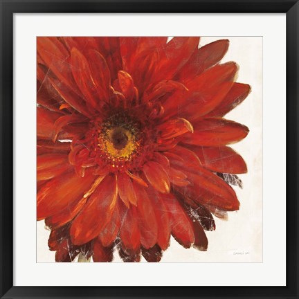 Framed Vivid Daisy Dark Red Crop Print