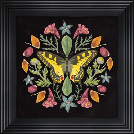 Framed Butterfly Mandala III Black Print
