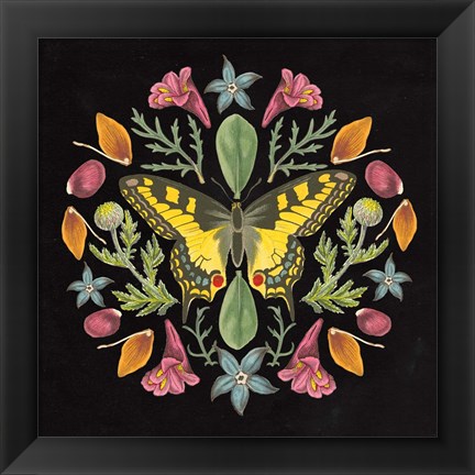 Framed Butterfly Mandala III Black Print