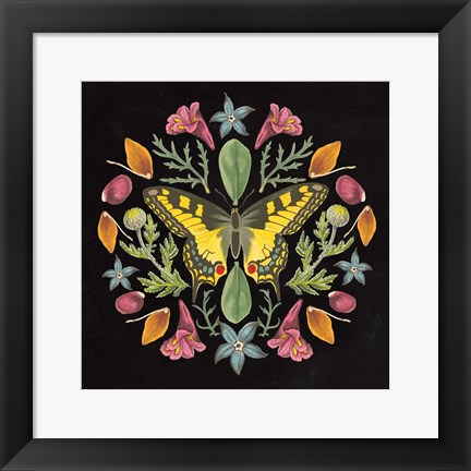 Framed Butterfly Mandala III Black Print