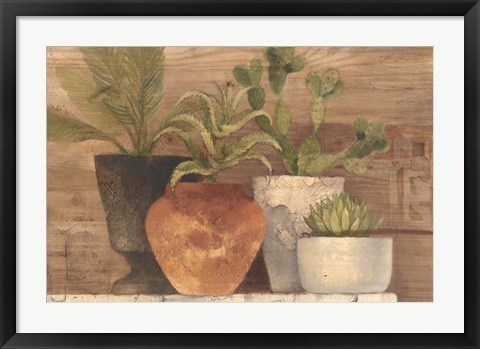 Framed Desert Still Life Light Crop Print