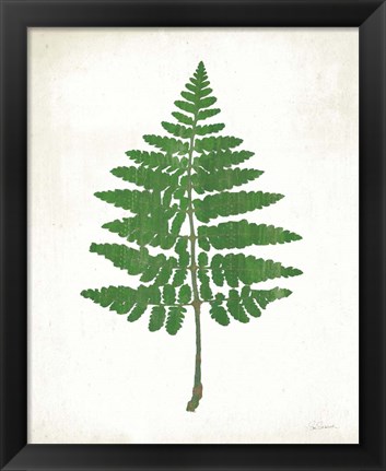 Framed Chalkboard Fern Green II Print