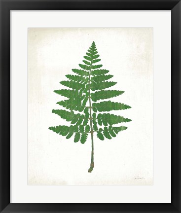 Framed Chalkboard Fern Green II Print