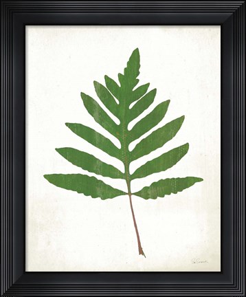 Framed Chalkboard Fern Green I Print