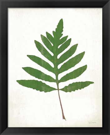 Framed Chalkboard Fern Green I Print