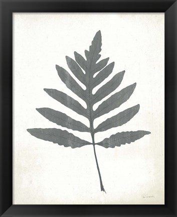 Framed Chalkboard Fern I Print