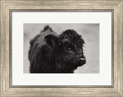 Framed Scottish Highland Cattle XI BW Print