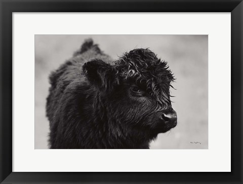 Framed Scottish Highland Cattle XI BW Print