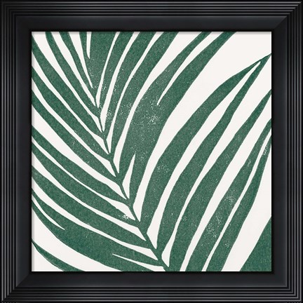 Framed Tropical Treasures III Print