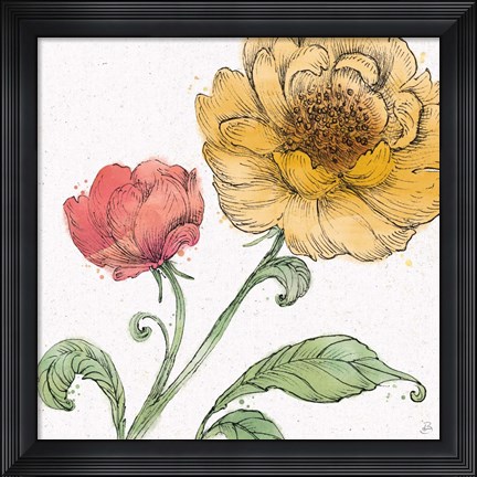 Framed Blossom Sketches III Color Print