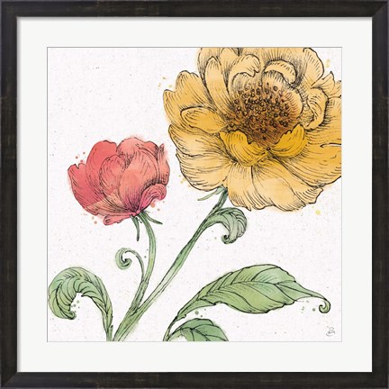 Framed Blossom Sketches III Color Print