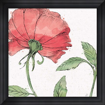 Framed Blossom Sketches IV Color Print